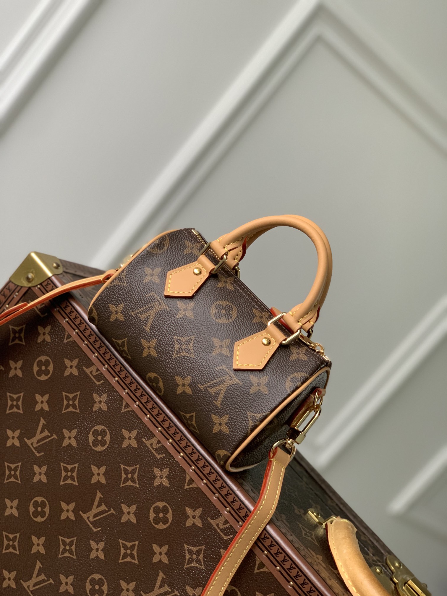 LV Speedy Bags